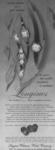 Longines 1956 967.jpg